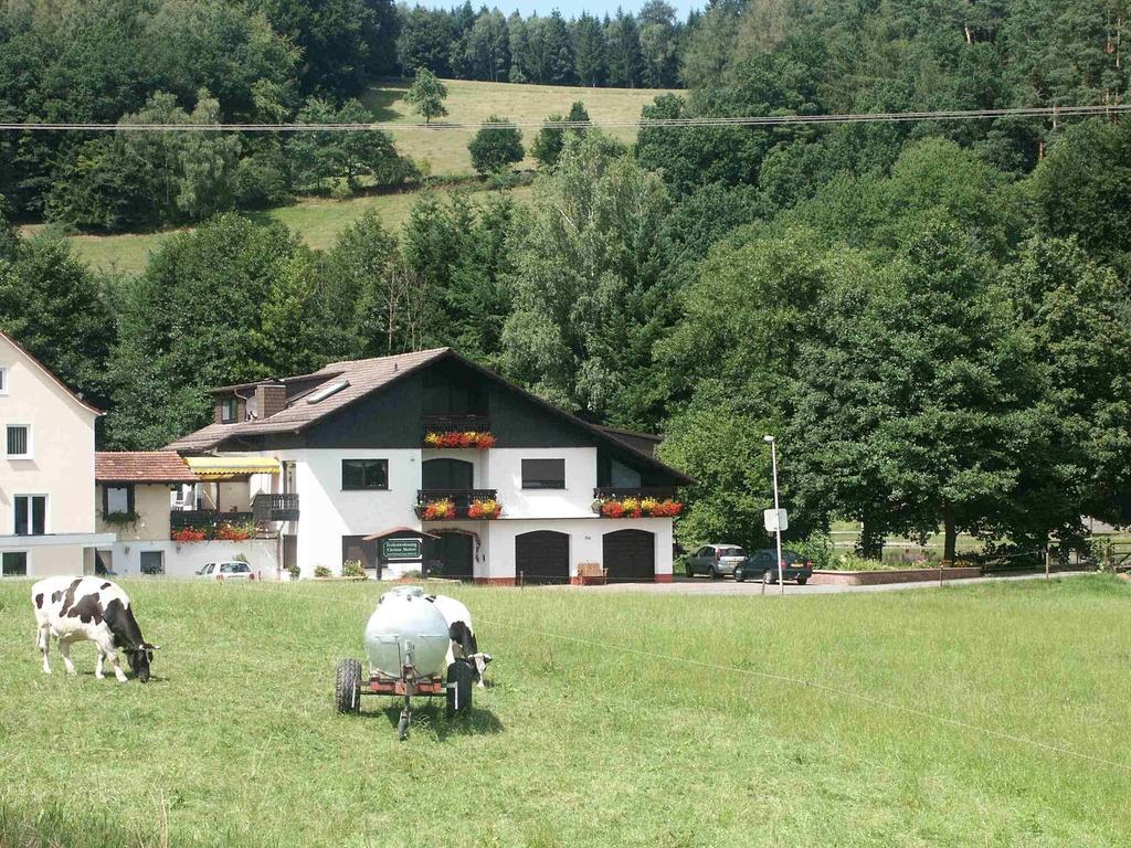 Ferienwohnung Siefert Mossautal Rum bild